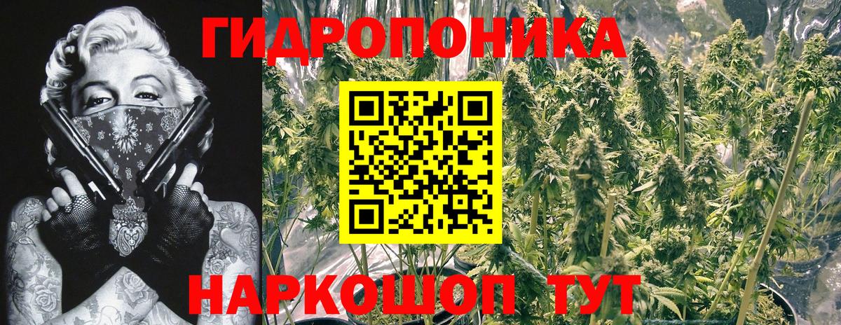 Канабис Bruce Banner Кисловодск